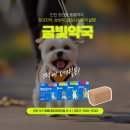 엑슬루 동물약국 이미지