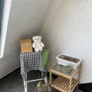 네일졍 | 서면네일 네일졍에서 이달의아트했어요! (+내돈내산)