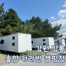 ㈜솔향강릉오토캠핑장 | 강원 강릉 안목해변 카라반 솔향 캠핑장