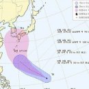 8호 태풍 `너구리` 북상..한반도에 방사능 영향줄까요 이미지