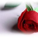 로즈당구장 이미지