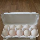 동녁농장 이미지