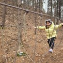 큰삼촌농촌체험마을 이미지