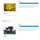 은평대영학교 이미지