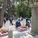 다대11-2 이미지