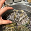 완도미성전복 이미지