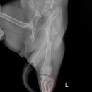 진천동물병원 이미지