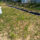 마라농장 이미지