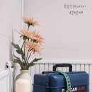 비자림힐링펜션 | 제주도 일주일살기 숙소 비용 비자림 근처 제주가족여행 숙소 초록별장 펜션 추천