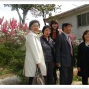 수연 이미지