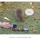 마음에 쏙 이미지