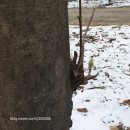 공릉어르신복지센터 이미지