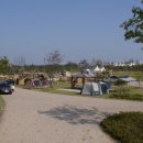 승촌공원 캠핑장 이미지