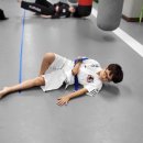 타이거 합기도 도장 이미지