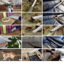 더스티(DUSTY) 이미지