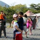 숲속의 샘물 캠핑장 이미지