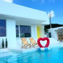 스테이 사이 이미지