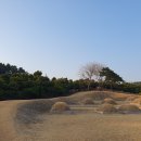 궁말농장 Daum카페