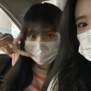 사지목 나무그늘 이미지