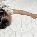 포렌하우스 이미지