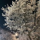 아울렛DC 이미지