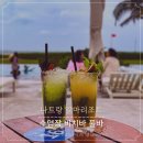 경고비 | 베트남 나트랑 알마리조트 비치바 이용 방법 후기