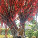 우림렌트카 이미지