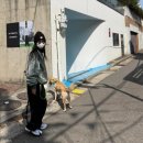 평화슈퍼 이미지