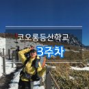 서호동-61 | 코오롱등산학교 장거리하이킹 3주차｜제주 영실코스,윗세오름 1day