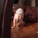 조던농장 이미지