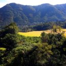 수성컨트리클럽 이미지