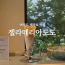 젤라떼리아 도도여의도점(GELATERIA DODO) | 여의도 젤라또 라떼 맛집 젤라떼리아도도 피스타치오 & 자두 내돈내산 후기