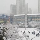 대구서동초등학교 이미지