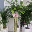 새 마음 새 뜻 | 인천중앙교회 새 성전 입당예배 참석 후기｜축하와 화합의 뜻깊은 시간