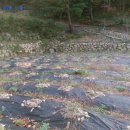 병부농장 이미지