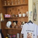 남경상인 | 급떠난 속초 1박2일 / 속초 남경막국수, 어느멋진날, 마리비스타 호텔 팁, 송도물회, 중앙닭강정