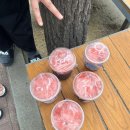 팰리컨비즈 이미지