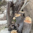 청마루농장 이미지