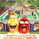 비내섬의 아침 이미지