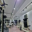 아일랜드짐 이미지