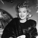 올리비에 이미지