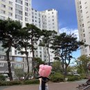 중마청룡길 | [광양풍선꽃다발] 기념일 이벤트 ‘풍선상점’