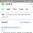 헤펠레스튜디오