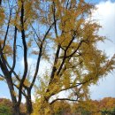 윤근수사당 이미지