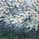 예술공간 이아 이미지