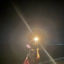 로디너스