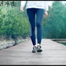 렉스플라이