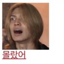 똑같은 콘서트를 4일 다 가신다는 건가요?