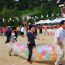 감성초등학교 이미지