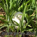 옥명길 네이버블로그